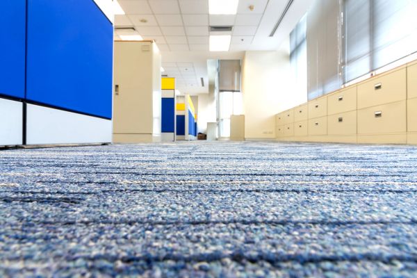 Business Carpet Cleaning in Olathe