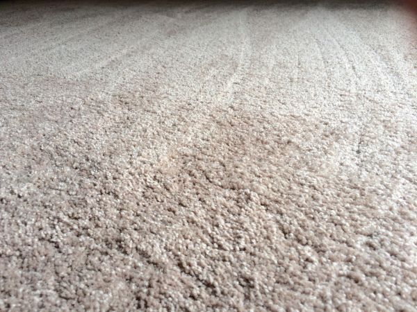 Plush Carpet Installation in Olathe