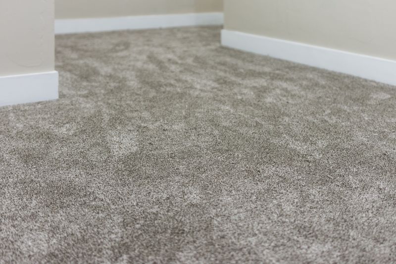 Clean Carpet